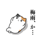 梅雨のにぎやかなミケネコ（個別スタンプ：16）