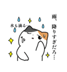 梅雨のにぎやかなミケネコ（個別スタンプ：27）