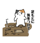 梅雨のにぎやかなミケネコ（個別スタンプ：31）