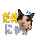 ねこのくちん Vol.3（個別スタンプ：3）