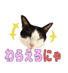ねこのくちん Vol.3（個別スタンプ：8）
