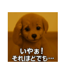 トイプー子犬のきもちスタンプ（個別スタンプ：3）