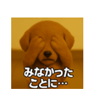 トイプー子犬のきもちスタンプ（個別スタンプ：5）