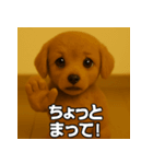 トイプー子犬のきもちスタンプ（個別スタンプ：6）