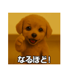 トイプー子犬のきもちスタンプ（個別スタンプ：7）