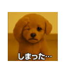 トイプー子犬のきもちスタンプ（個別スタンプ：8）