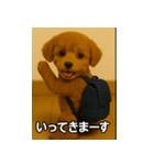 トイプー子犬のきもちスタンプ（個別スタンプ：11）