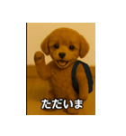 トイプー子犬のきもちスタンプ（個別スタンプ：12）