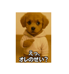 トイプー子犬のきもちスタンプ（個別スタンプ：19）