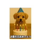 トイプー子犬のきもちスタンプ（個別スタンプ：22）