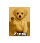 トイプー子犬のきもちスタンプ（個別スタンプ：24）