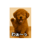 トイプー子犬のきもちスタンプ（個別スタンプ：27）