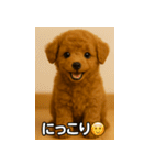 トイプー子犬のきもちスタンプ（個別スタンプ：29）