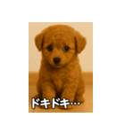 トイプー子犬のきもちスタンプ（個別スタンプ：32）