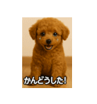 トイプー子犬のきもちスタンプ（個別スタンプ：35）