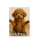 トイプー子犬のきもちスタンプ（個別スタンプ：38）