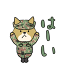 陸上自衛隊・ゆるっと柴犬三曹（個別スタンプ：2）