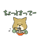 陸上自衛隊・ゆるっと柴犬三曹（個別スタンプ：6）