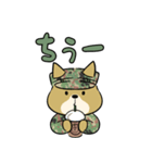 陸上自衛隊・ゆるっと柴犬三曹（個別スタンプ：8）