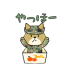 陸上自衛隊・ゆるっと柴犬三曹（個別スタンプ：18）