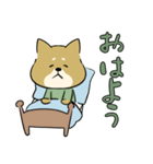 陸上自衛隊・ゆるっと柴犬三曹（個別スタンプ：19）
