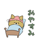 陸上自衛隊・ゆるっと柴犬三曹（個別スタンプ：20）