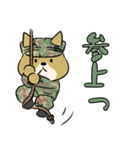 陸上自衛隊・ゆるっと柴犬三曹（個別スタンプ：34）