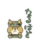 陸上自衛隊・ゆるっと柴犬三曹（個別スタンプ：36）
