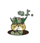 陸上自衛隊・ゆるっと柴犬三曹（個別スタンプ：38）