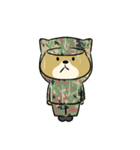 陸上自衛隊・ゆるっと柴犬三曹（個別スタンプ：40）