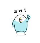 いろとり鳥たち（個別スタンプ：3）