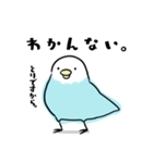 いろとり鳥たち（個別スタンプ：17）