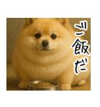 ぽめらにっ！（個別スタンプ：2）
