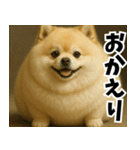 ぽめらにっ！（個別スタンプ：4）