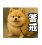 ぽめらにっ！（個別スタンプ：9）