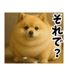 ぽめらにっ！（個別スタンプ：11）