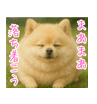 ぽめらにっ！（個別スタンプ：15）