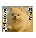 ぽめらにっ！（個別スタンプ：19）