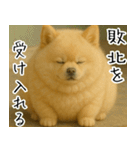 ぽめらにっ！（個別スタンプ：24）