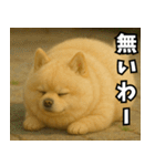 ぽめらにっ！（個別スタンプ：33）