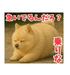 ぽめらにっ！（個別スタンプ：35）