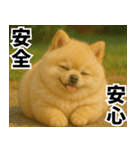 ぽめらにっ！（個別スタンプ：36）