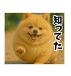 ぽめらにっ！（個別スタンプ：38）