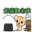 毎日使える♪ずっと定番 #ネコナール6（個別スタンプ：1）