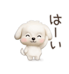 毎日ずっ〜と使える★愛犬マルチーズ【3D】（個別スタンプ：2）