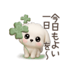 毎日ずっ〜と使える★愛犬マルチーズ【3D】（個別スタンプ：5）