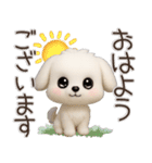 毎日ずっ〜と使える★愛犬マルチーズ【3D】（個別スタンプ：6）