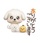 毎日ずっ〜と使える★愛犬マルチーズ【3D】（個別スタンプ：9）