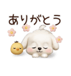 毎日ずっ〜と使える★愛犬マルチーズ【3D】（個別スタンプ：10）