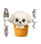 毎日ずっ〜と使える★愛犬マルチーズ【3D】（個別スタンプ：11）